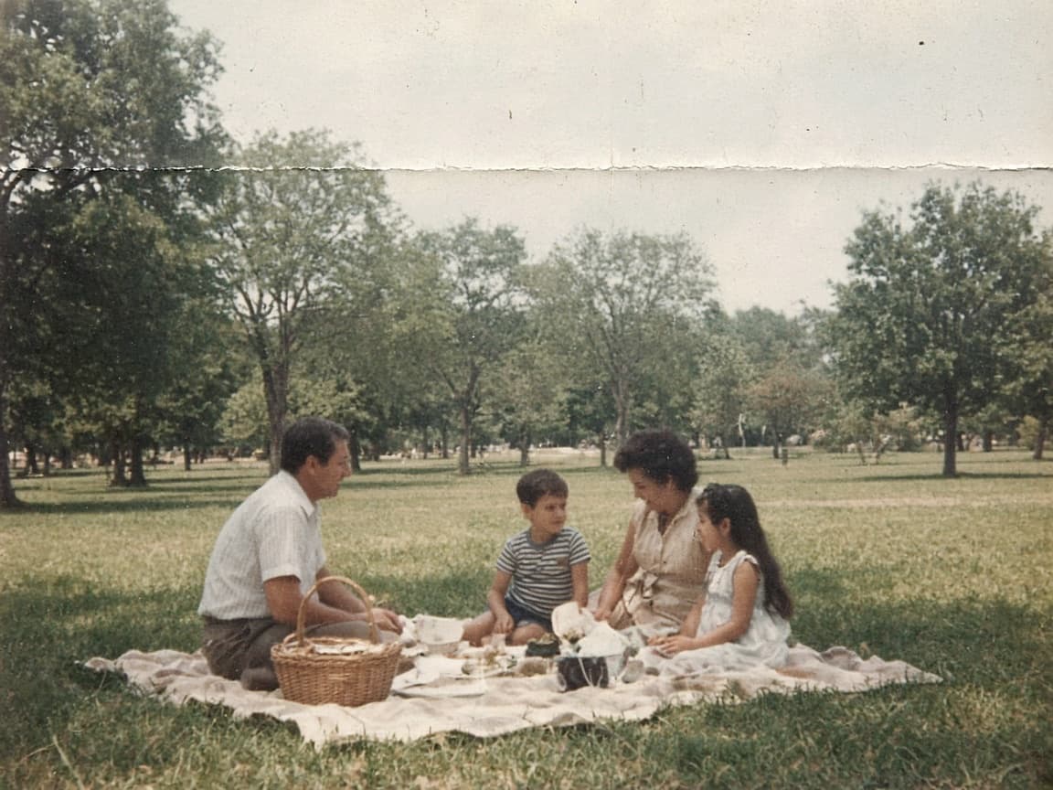 Faded picnic print before an image to image AI repair